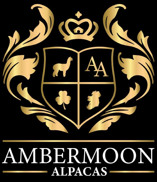 Ambermoon Alpacas