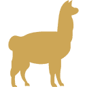 Silhouette of a standing Alpaca