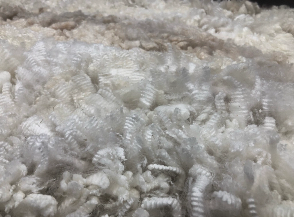 Close-up of textured white fleece wool