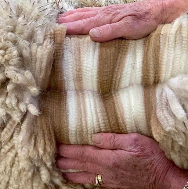 Elderly hands holding a warm, striped woollen blanket