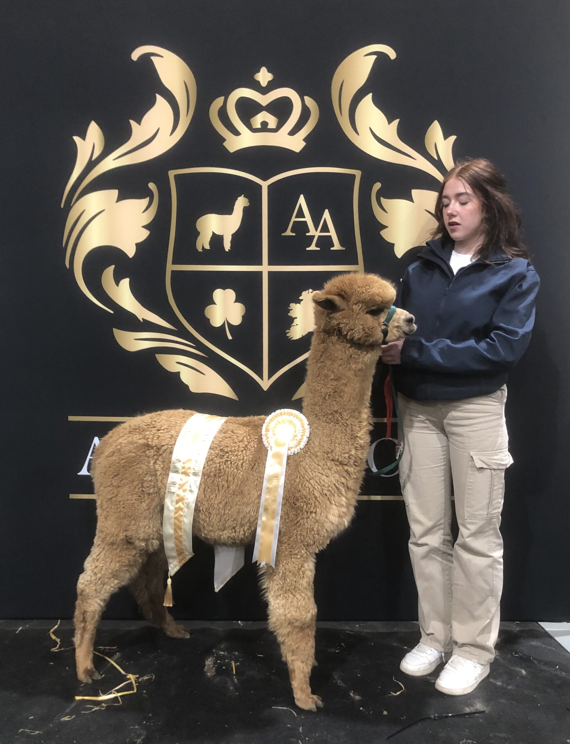 Woman with prize-winning alpaca at agriculture show